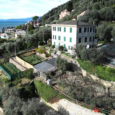 Cav Gli Ulivi Di Bogliasco Villa Kültér fotó