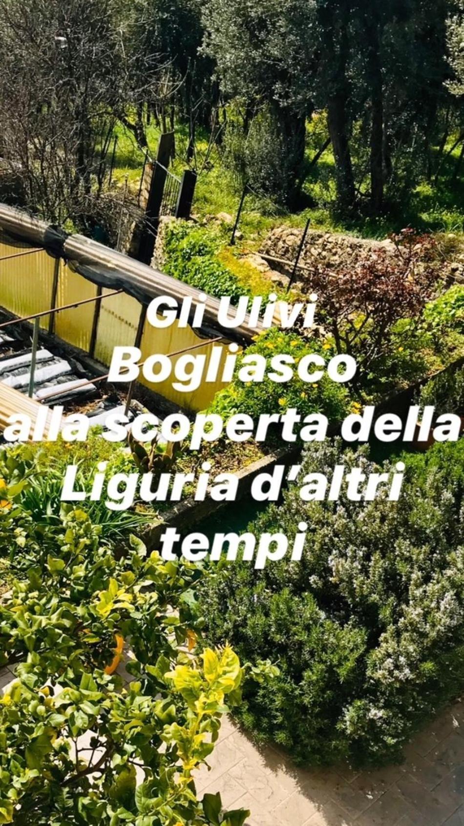 Cav Gli Ulivi Di Bogliasco Villa Kültér fotó