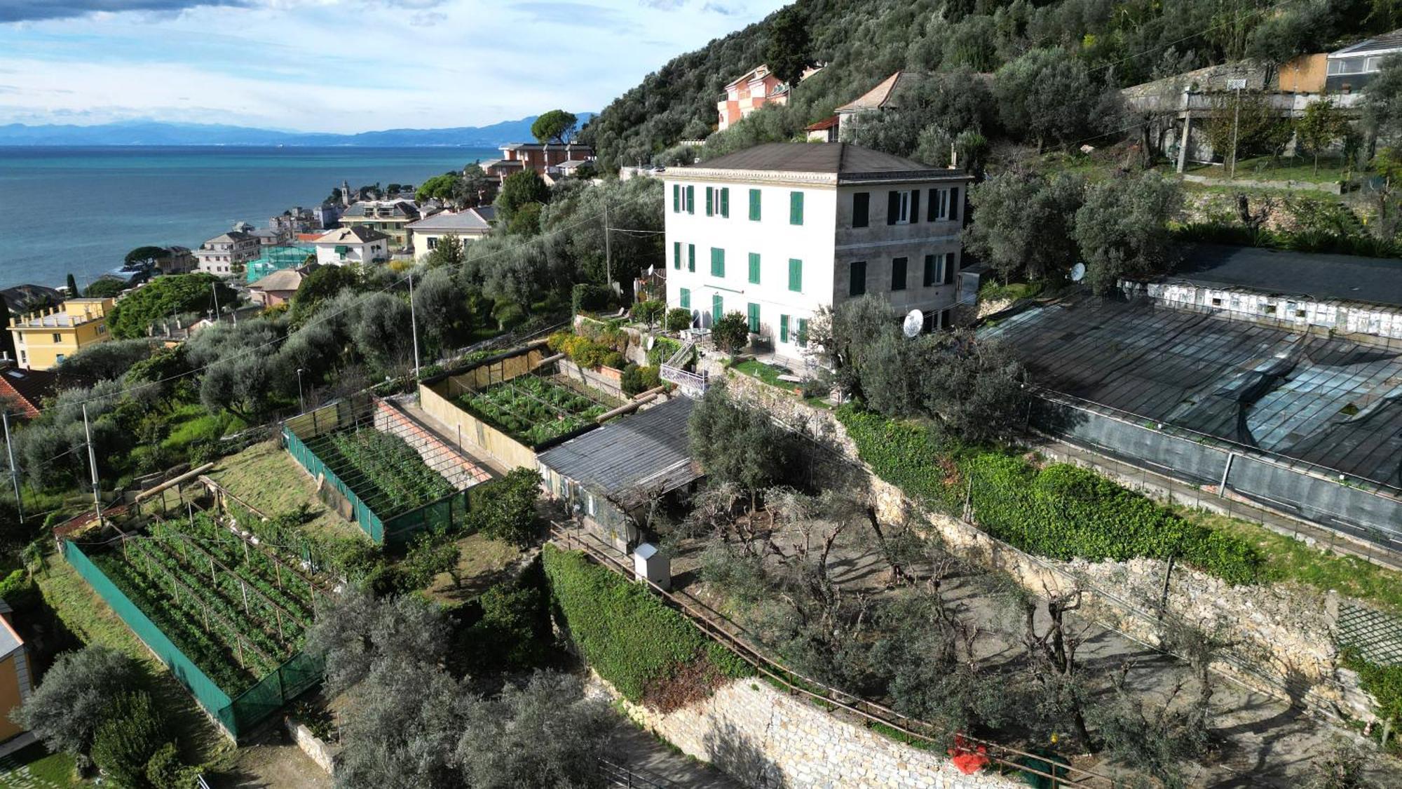 Cav Gli Ulivi Di Bogliasco Villa Kültér fotó