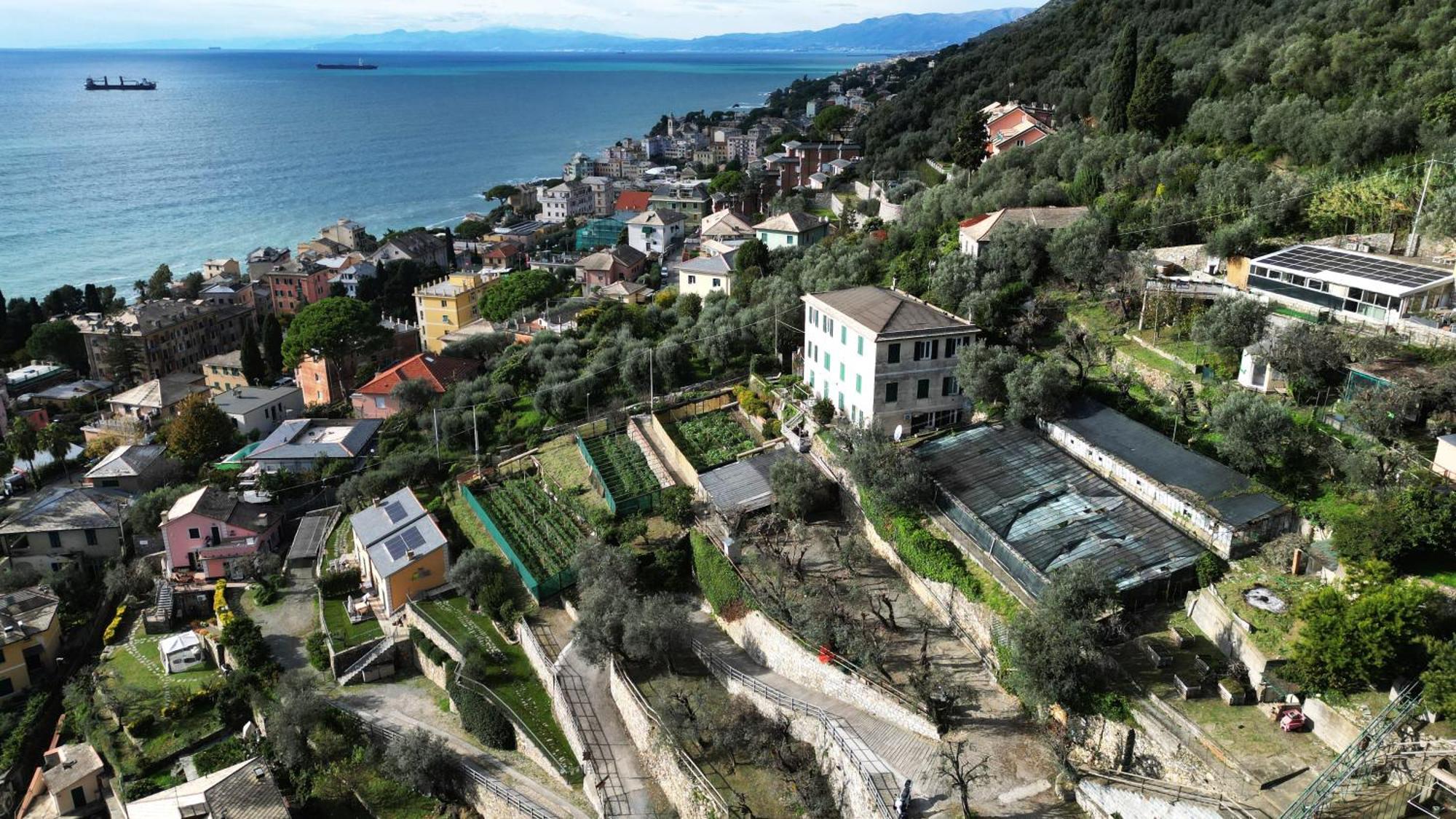 Cav Gli Ulivi Di Bogliasco Villa Kültér fotó